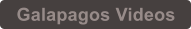 Galapagos Videos