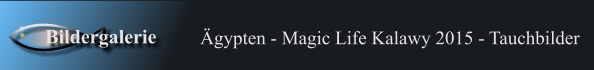 gypten - Magic Life Kalawy 2015 - Tauchbilder Bildergalerie